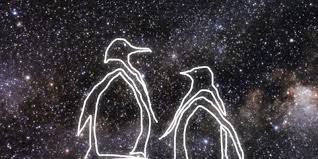 penguins